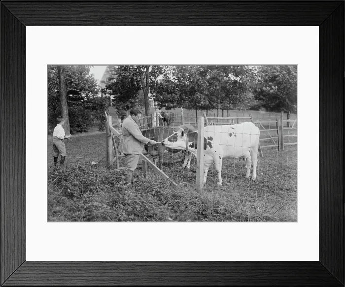 Framed Print : J. McCormack, between c1915 and c1920. Creator: Bain News Service Framed Print : J. McCormack, between c1915 and c1920. Creator: Bain News Service