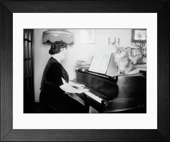 Framed Print : Baker, between c1915 and c1920. Creator: Bain News Service Framed Print : Baker, between c1915 and c1920. Creator: Bain News Service