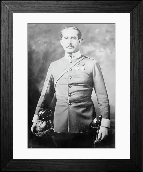 Framed Print : Baron Zwiedinek von Su¨denhorst, between c1910 and c1915. Creator: Bain News Service Framed Print : Baron Zwiedinek von Su¨denhorst, between c1910 and c1915. Creator: Bain News Service