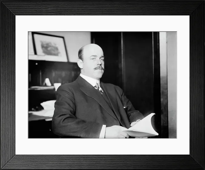 Framed Print : N. Longworth seated with book, 1911. Creator: Bain News Service Framed Print : N. Longworth seated with book, 1911. Creator: Bain News Service