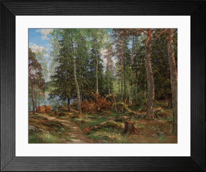 Framed Print : Forest interior, subject from Laajasalo, Helsinki, 1886. Creator: Berndt Lindholm