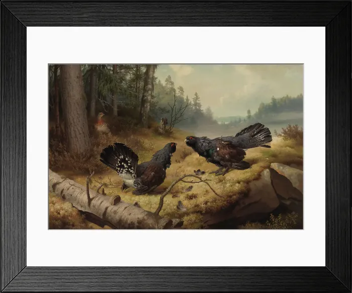 Framed Print : The Fighting Capercaillies, 1886. Creator: Ferdinand von Wright Framed Print : The Fighting Capercaillies, 1886. Creator: Ferdinand von Wright