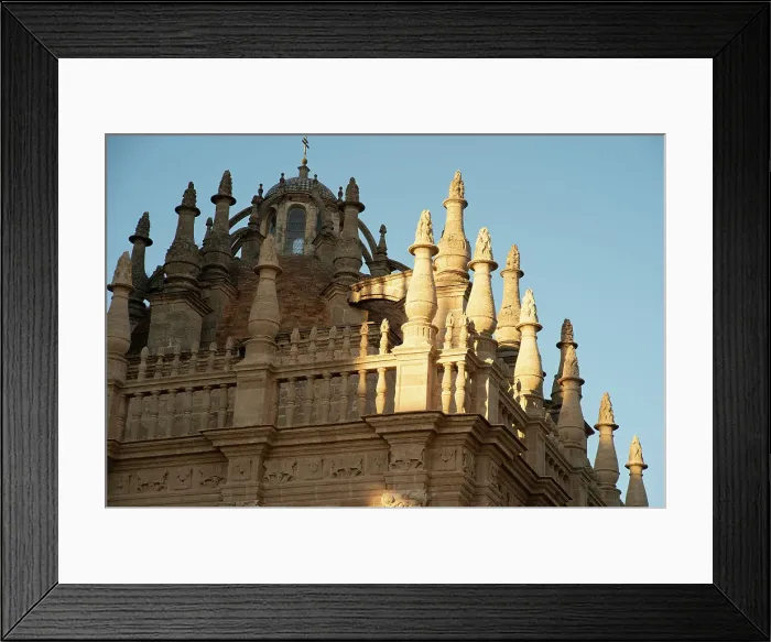 Framed Print : Roof detail of the Cathedral of Seville which contains the tomb of Christopher Colombus, Spain, 2023 Creator: Ethel Davies Framed Print : Roof detail of the Cathedral of Seville which contains the tomb of Christopher Colombus, Spain, 2023 Creator: Ethel Davies