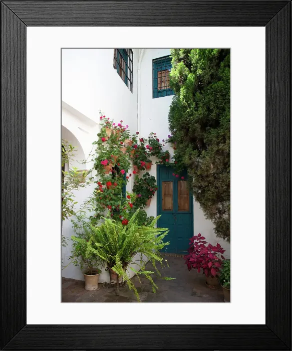 Framed Print : One of the 12 Gardens at the Renaissance Palacio de Viana, Cordoba, Spain, 2023. Creator: Ethel Davies Framed Print : One of the 12 Gardens at the Renaissance Palacio de Viana, Cordoba, Spain, 2023. Creator: Ethel Davies