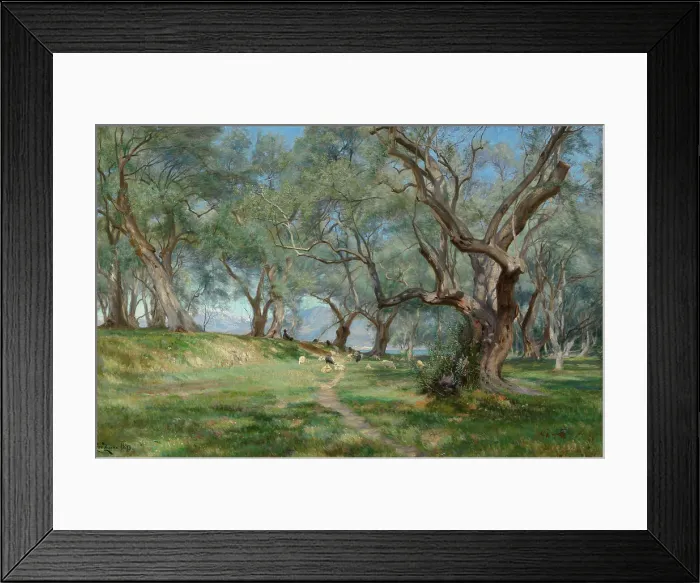 Framed Print : Olive grove in Mentona, 1893. Creator: Christian Zacho Framed Print : Olive grove in Mentona, 1893. Creator: Christian Zacho