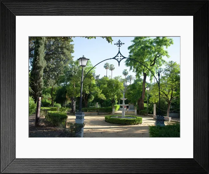 Framed Print : The Jardines de Murillo, landscaped garden in the centre of Seville, Spain, 2023. Creator: Ethel Davies Framed Print : The Jardines de Murillo, landscaped garden in the centre of Seville, Spain, 2023. Creator: Ethel Davies
