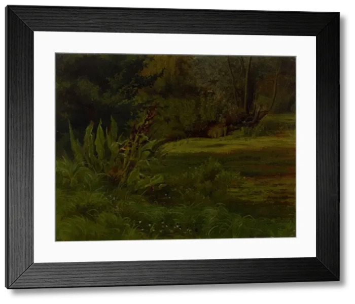 Framed Print : A pond in the forest, exercise, 1854. Creator: Werner Holmberg Framed Print : A pond in the forest, exercise, 1854. Creator: Werner Holmberg
