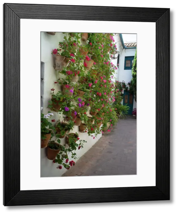 Framed Print : One of the 12 Gardens at the Renaissance Palacio de Viana, Cordoba, Spain, 2023. Creator: Ethel Davies Framed Print : One of the 12 Gardens at the Renaissance Palacio de Viana, Cordoba, Spain, 2023. Creator: Ethel Davies