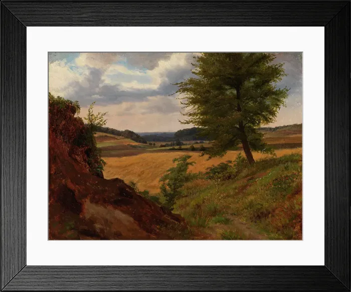 Framed Print : Tree in Field Landscape, Study, 1854. Creator: Werner Holmberg