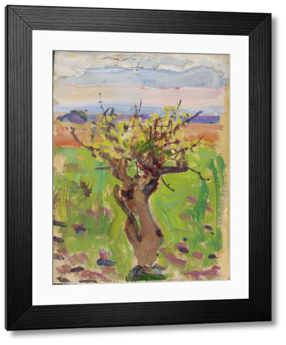 Framed Print : Dwarf Tree in the Desert, 1909-1910. Creator: Akseli Gallen-Kallela Framed Print : Dwarf Tree in the Desert, 1909-1910. Creator: Akseli Gallen-Kallela