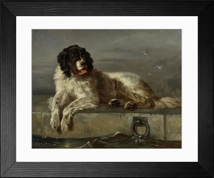 Framed Print : A Distinguished Member of the Humane Society, 1850-1899. Creator: Follower of Edwin Henry Landseer Framed Print : A Distinguished Member of the Humane Society, 1850-1899. Creator: Follower of Edwin Henry Landseer