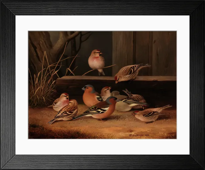 Framed Print : Chaffinches and Redpolls, 1868. Creator: Ferdinand von Wright Framed Print : Chaffinches and Redpolls, 1868. Creator: Ferdinand von Wright