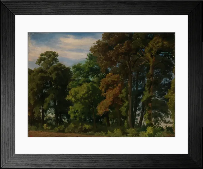 Framed Print : Landscape in Germany, Study, 1854. Creator: Werner Holmberg Framed Print : Landscape in Germany, Study, 1854. Creator: Werner Holmberg