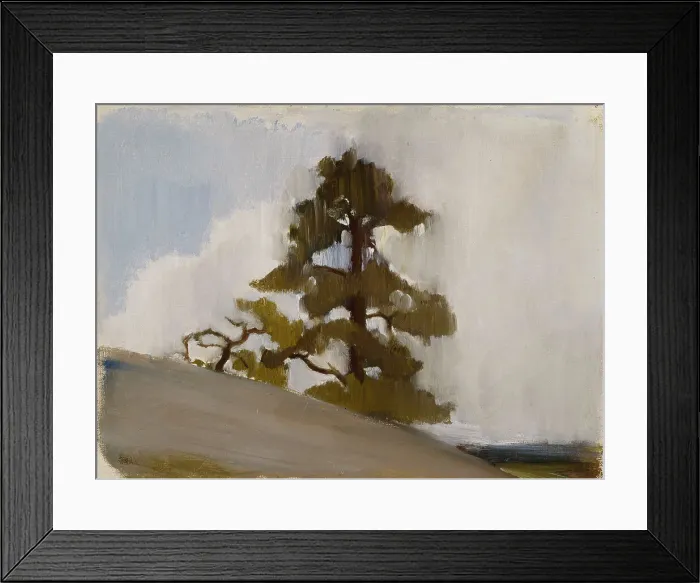 Framed Print : Pine. Creator: Einar Ilmoni Framed Print : Pine. Creator: Einar Ilmoni