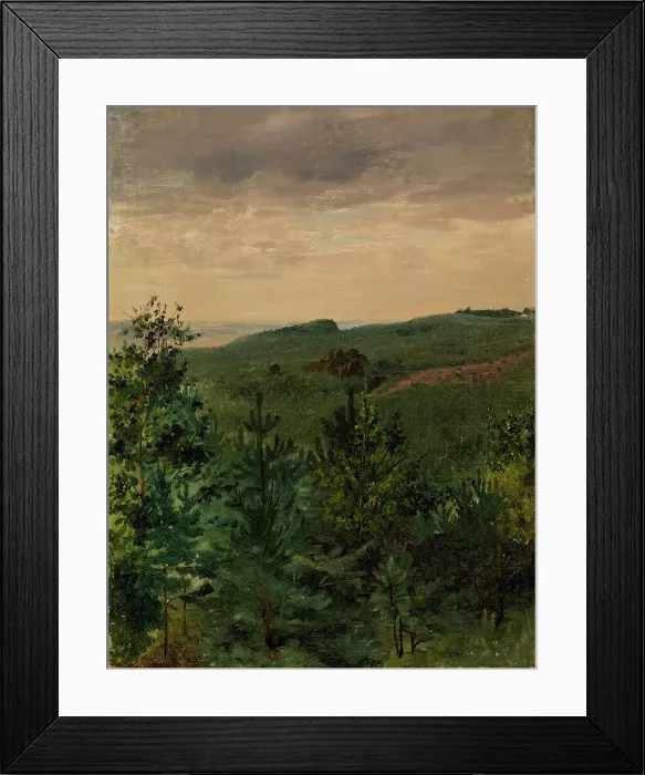 Framed Print : Spruce Saplings in Sandy Soil, Study, 1854. Creator: Werner Holmberg Framed Print : Spruce Saplings in Sandy Soil, Study, 1854. Creator: Werner Holmberg