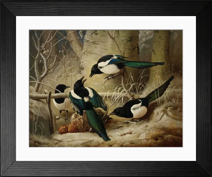 Framed Print : Magpies round a Dead Female Capercaillie, 1867. Creator: Ferdinand von Wright