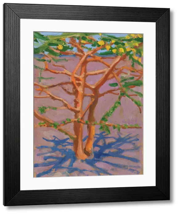 Framed Print : Acacia on the Savannah, 1909. Creator: Akseli Gallen-Kallela Framed Print : Acacia on the Savannah, 1909. Creator: Akseli Gallen-Kallela