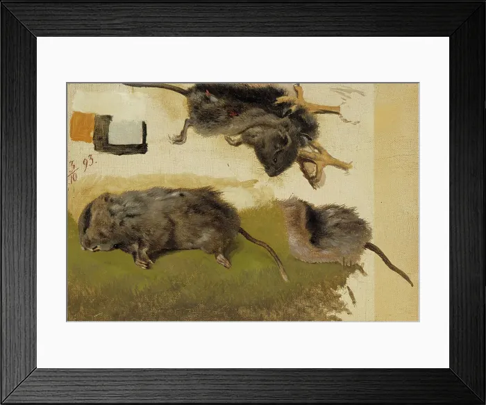 Framed Print : Rodents, 1893. Creator: Ferdinand von Wright Framed Print : Rodents, 1893. Creator: Ferdinand von Wright