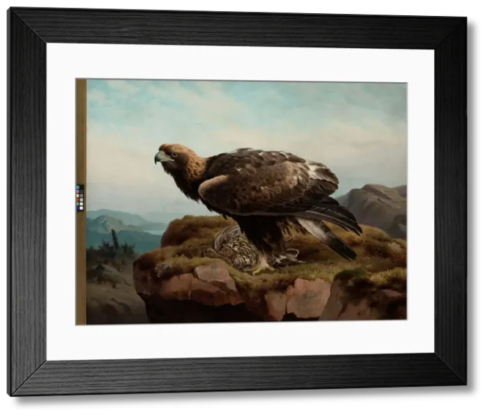 Framed Print : Golden Eagle at a Cliff's Edge, 1880. Creator: Ferdinand von Wright Framed Print : Golden Eagle at a Cliff's Edge, 1880. Creator: Ferdinand von Wright