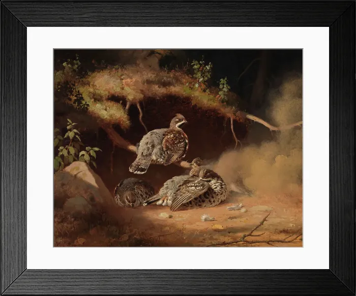 Framed Print : Hazel Grouse Wallowing in Sand, 1877. Creator: Ferdinand von Wright Framed Print : Hazel Grouse Wallowing in Sand, 1877. Creator: Ferdinand von Wright