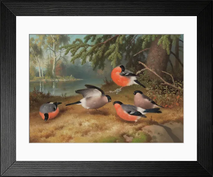 Framed Print : Bullfinches, 1887. Creator: Ferdinand von Wright Framed Print : Bullfinches, 1887. Creator: Ferdinand von Wright