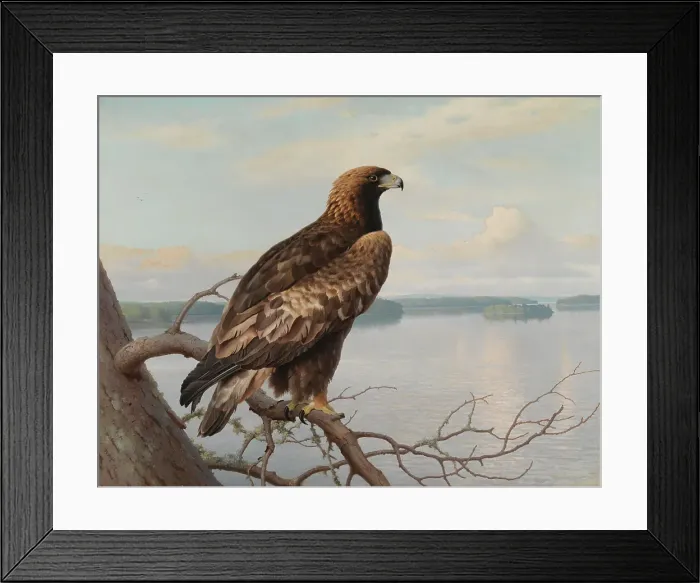 Framed Print : Golden Eagle by a Lake, 1897. Creator: Ferdinand von Wright Framed Print : Golden Eagle by a Lake, 1897. Creator: Ferdinand von Wright
