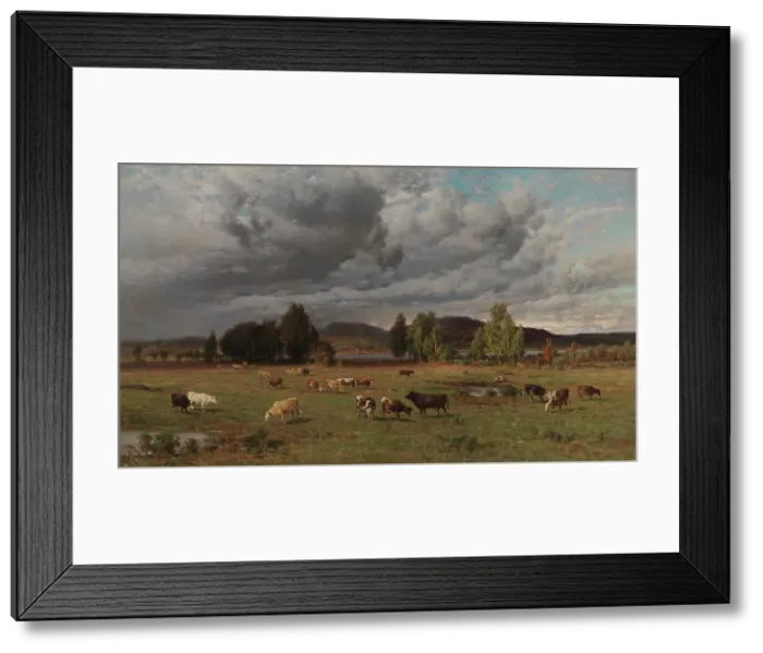 Framed Print : Pasture in Häme, 1881. Creator: Hjalmar Munsterhjelm Framed Print : Pasture in Häme, 1881. Creator: Hjalmar Munsterhjelm