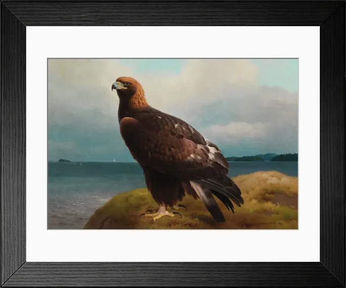 Framed Print : Golden Eagle, 1884. Creator: Ferdinand von Wright