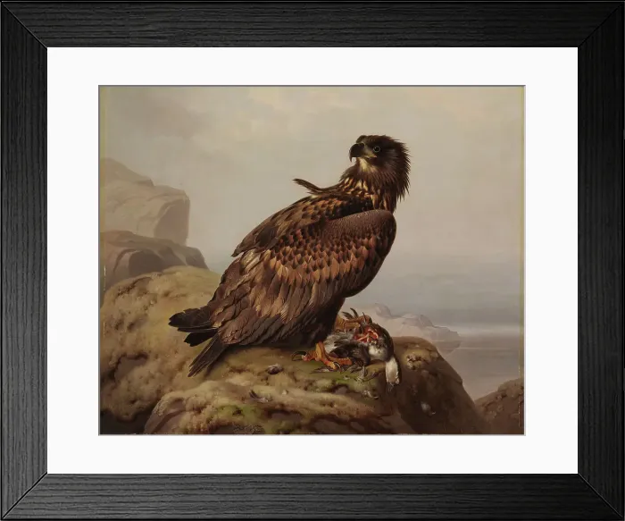 Framed Print : White-tailed Eagle with Its Prey, 1861. Creator: Ferdinand von Wright Framed Print : White-tailed Eagle with Its Prey, 1861. Creator: Ferdinand von Wright