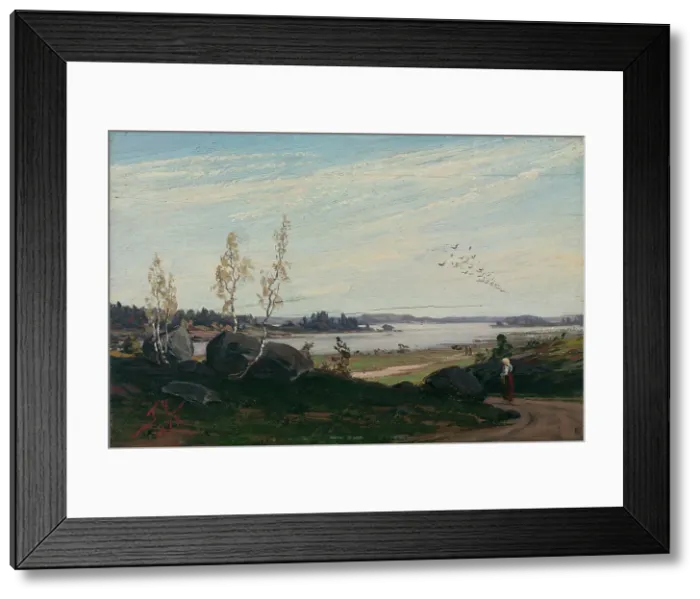 Framed Print : Migrating Birds, 1878. Creator: Fanny Churberg Framed Print : Migrating Birds, 1878. Creator: Fanny Churberg