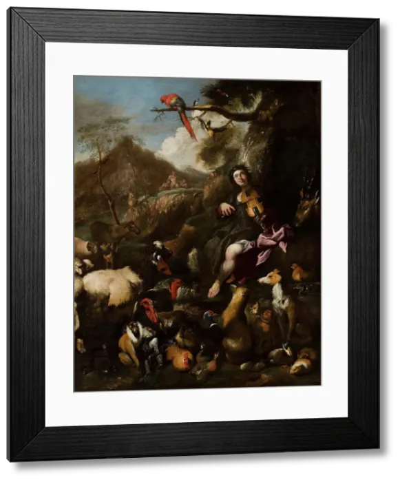 Framed Print : Orpheus Singing to the Animals, 1609-1664. Creator: Giovanni Benedetto Castiglione Framed Print : Orpheus Singing to the Animals, 1609-1664. Creator: Giovanni Benedetto Castiglione