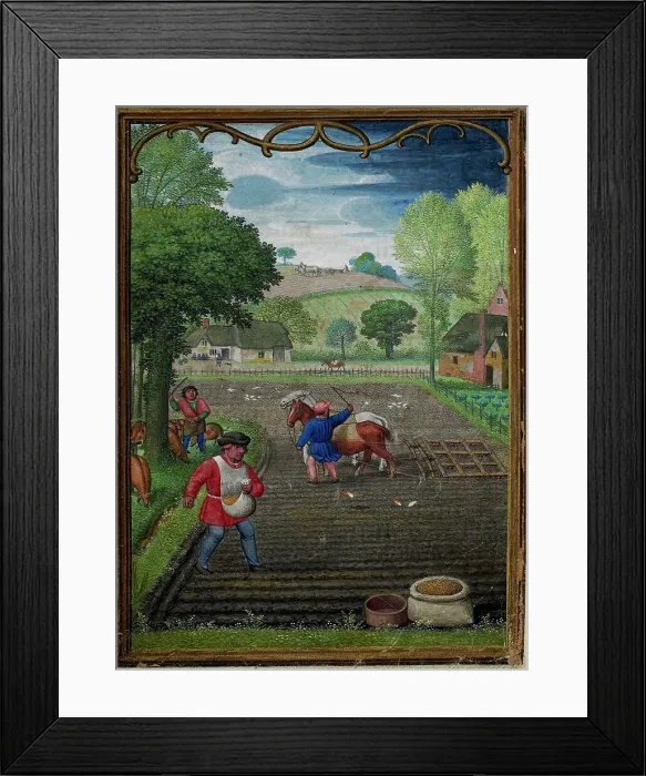 Framed Print : The Hours of Hennessy (Hours of Notre-Dame). Labors of the Months: September, c1530. Creator: Bening, Simon, (Workshop) (ca 1483-1561) Framed Print : The Hours of Hennessy (Hours of Notre-Dame). Labors of the Months: September, c1530. Creator: Bening, Simon, (Workshop) (ca 1483-1561)