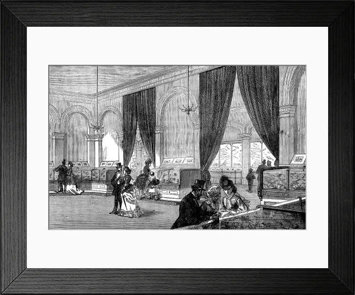 Framed Print : The Crystal Palace Aquarium, 1871. Creator: Unknown Framed Print : The Crystal Palace Aquarium, 1871. Creator: Unknown