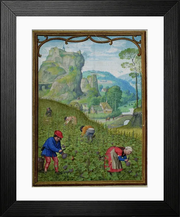 Framed Print : The Hours of Hennessy (Hours of Notre-Dame). Labors of the Months: October, c1530. Creator: Bening, Simon, (Workshop) (ca 1483-1561) Framed Print : The Hours of Hennessy (Hours of Notre-Dame). Labors of the Months: October, c1530. Creator: Bening, Simon, (Workshop) (ca 1483-1561)