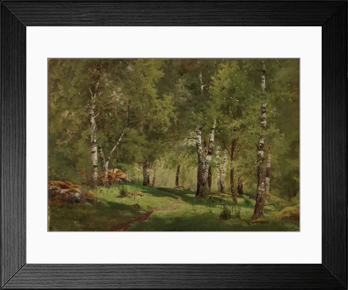 Framed Print : Birch Grove, 1865. Creator: Hjalmar Munsterhjelm Framed Print : Birch Grove, 1865. Creator: Hjalmar Munsterhjelm