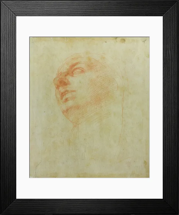 Framed Print : Study of a head, c 1504. Creator: Buonarroti, Michelangelo (1475-1564) Framed Print : Study of a head, c 1504. Creator: Buonarroti, Michelangelo (1475-1564)