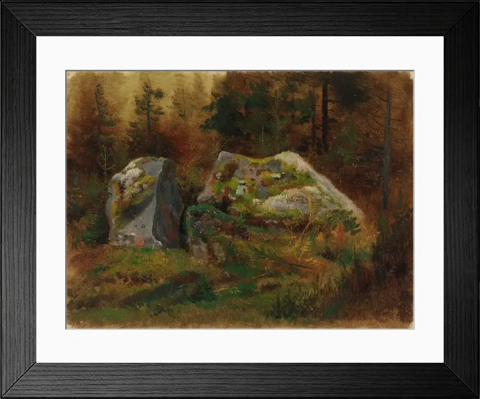 Framed Print : Mossy stones in the forest. Creator: Johan Knutson Framed Print : Mossy stones in the forest. Creator: Johan Knutson