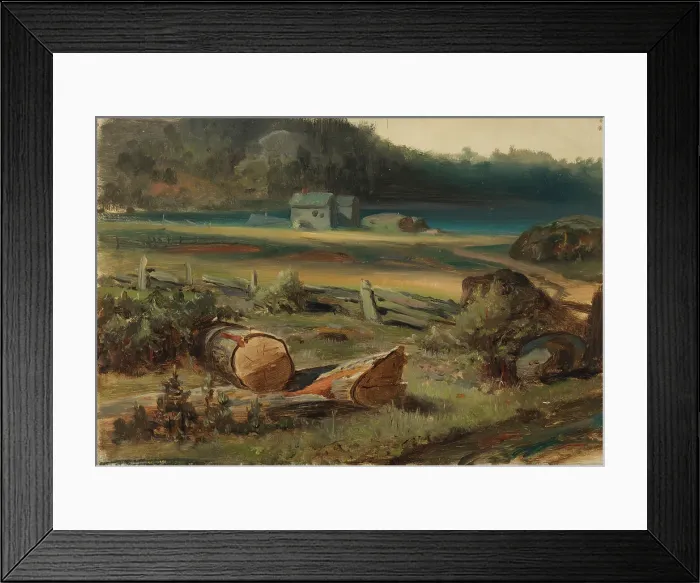 Framed Print : Beach landscape. Creator: Johan Knutson Framed Print : Beach landscape. Creator: Johan Knutson