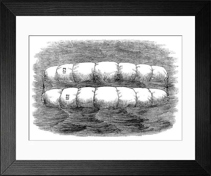 Framed Print : Rear-Admiral Ryder's floating hammocks for saving life at sea, 1871. Creator: Unknown Framed Print : Rear-Admiral Ryder's floating hammocks for saving life at sea, 1871. Creator: Unknown