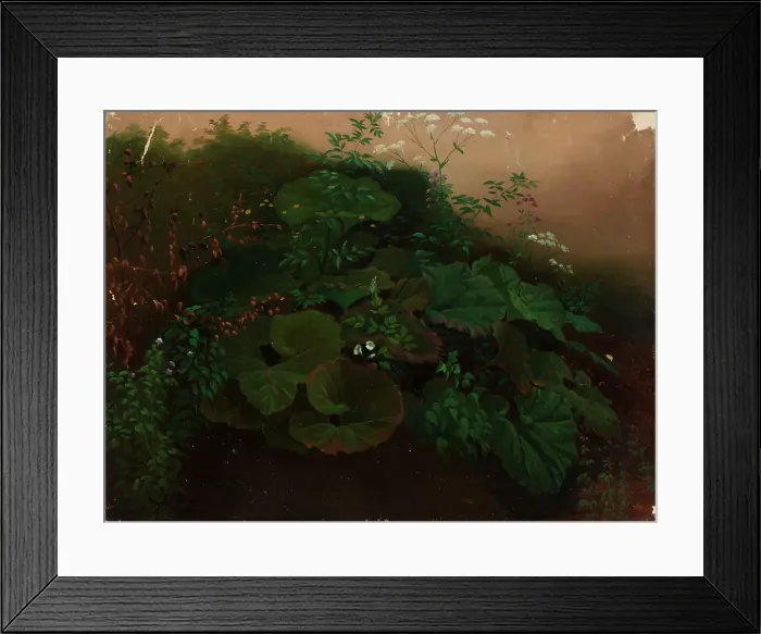 Framed Print : Plants, exercise, 1835-1853. Creator: Nils Jakob Blommer Framed Print : Plants, exercise, 1835-1853. Creator: Nils Jakob Blommer