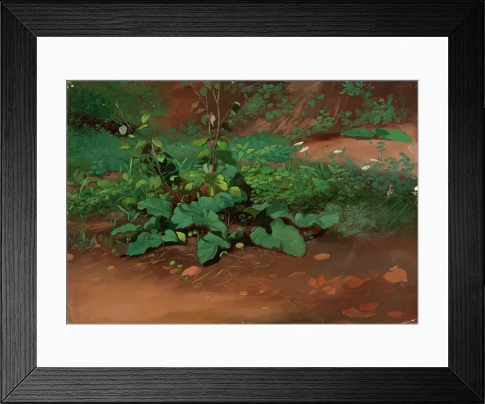 Framed Print : Landscape, Study, 1835-1853. Creator: Nils Jakob Blommer Framed Print : Landscape, Study, 1835-1853. Creator: Nils Jakob Blommer