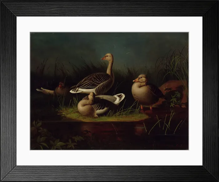 Framed Print : Greylag Geese, copy after Ferdinand von Wright, 1866. Creator: Magnus von Wright Framed Print : Greylag Geese, copy after Ferdinand von Wright, 1866. Creator: Magnus von Wright