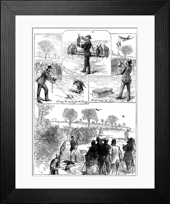 Framed Print : Hawking at Hendon, 1871. Creator: Unknown Framed Print : Hawking at Hendon, 1871. Creator: Unknown