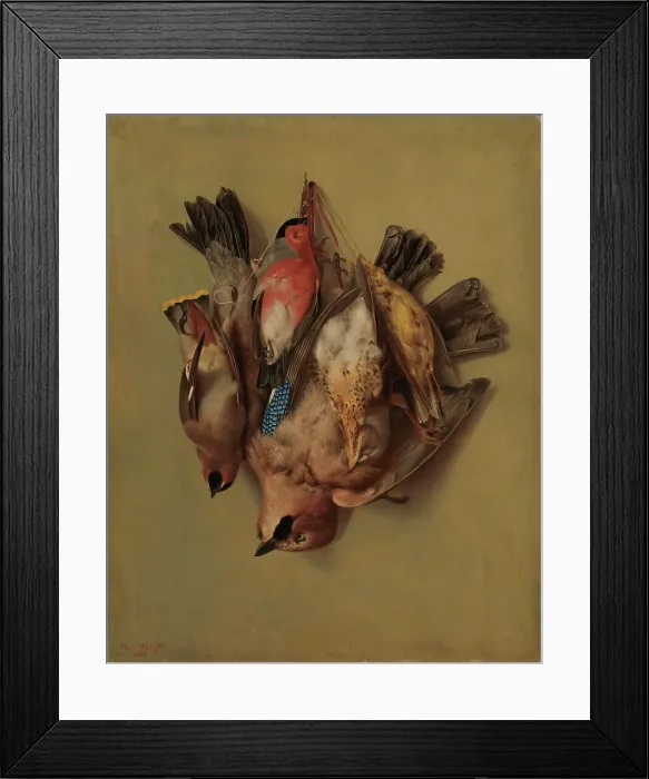 Framed Print : Hanging Birds, 1865. Creator: Magnus von Wright Framed Print : Hanging Birds, 1865. Creator: Magnus von Wright