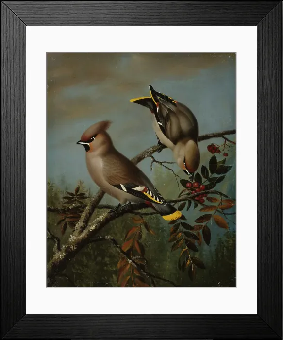 Framed Print : Tilhia in rowan, 1839. Creator: Magnus von Wright Framed Print : Tilhia in rowan, 1839. Creator: Magnus von Wright