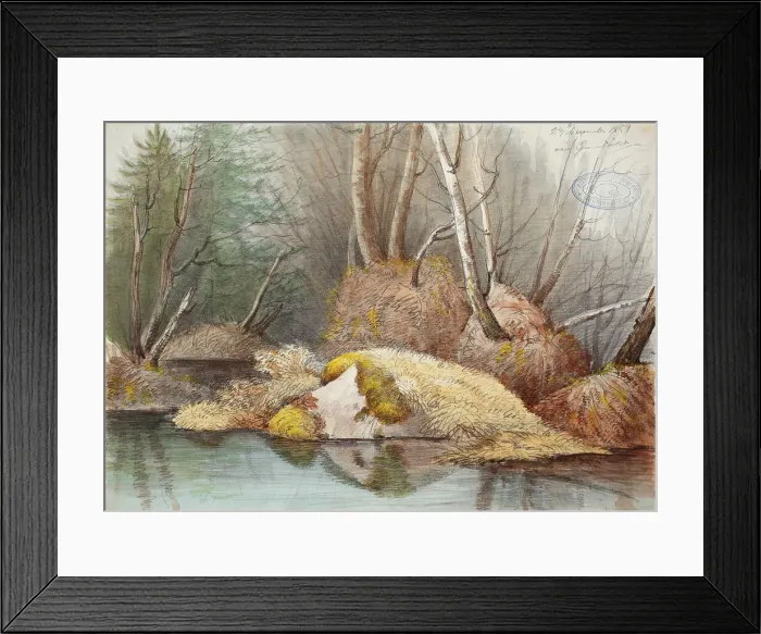 Framed Print : Spring forest interior and flooded bogs, 1851. Creator: Magnus von Wright Framed Print : Spring forest interior and flooded bogs, 1851. Creator: Magnus von Wright