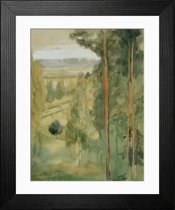 Framed Print : Landscape, 1903. Creator: Albert Edelfelt Framed Print : Landscape, 1903. Creator: Albert Edelfelt