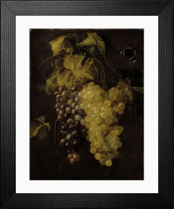 Framed Print : Two bunches of grapes, 1658-1670. Creator: Thomas van Paep Framed Print : Two bunches of grapes, 1658-1670. Creator: Thomas van Paep