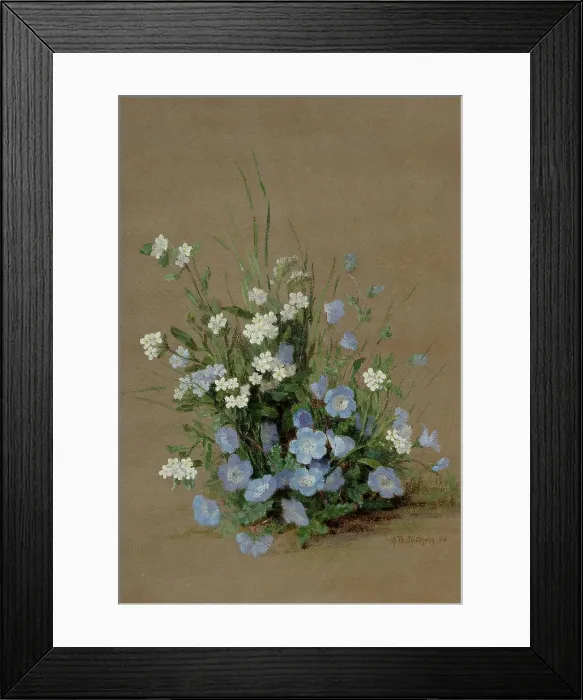 Framed Print : Wildflowers with forget-me-nots, 1893. Creator: Chittenden, Alice Brown (1859-1944) Framed Print : Wildflowers with forget-me-nots, 1893. Creator: Chittenden, Alice Brown (1859-1944)