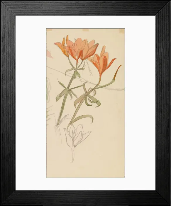 Framed Print : Orange Lilies, c1890s. Creator: Albert Edelfelt Framed Print : Orange Lilies, c1890s. Creator: Albert Edelfelt